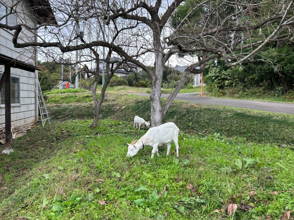 蔵フェスVol.04の様子