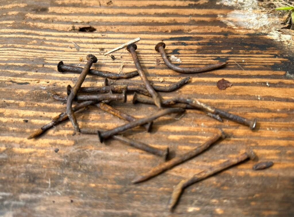 2025年の古民家再生ワークショップの様子