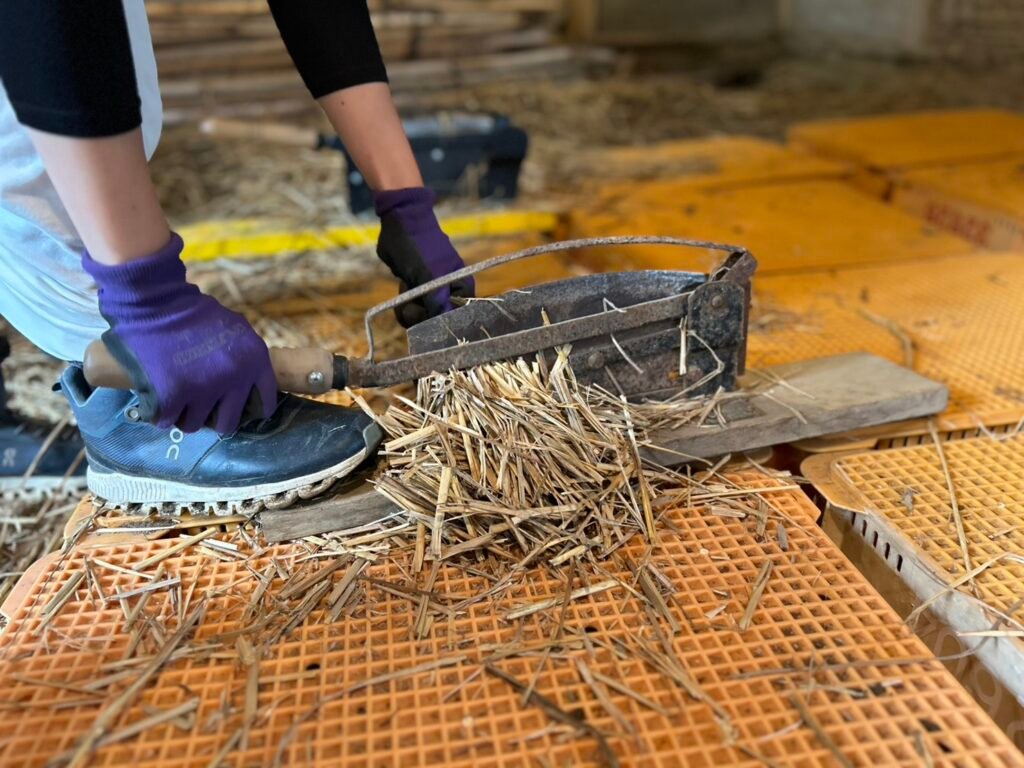 2025年の古民家再生ワークショップの様子