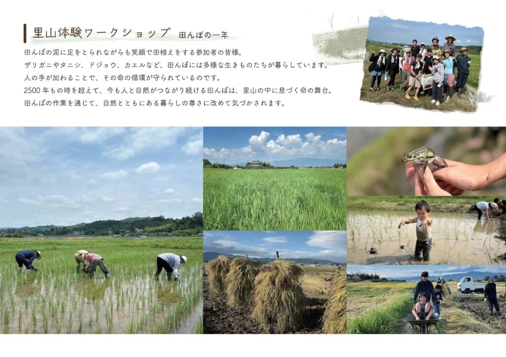 パンフレットVol.02の里山体験ワークショップの様子