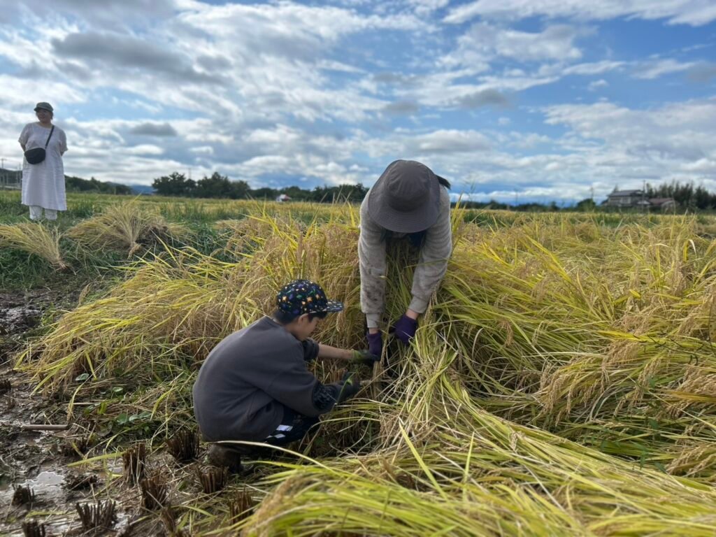 2025年の里山体験ワークショップの様子