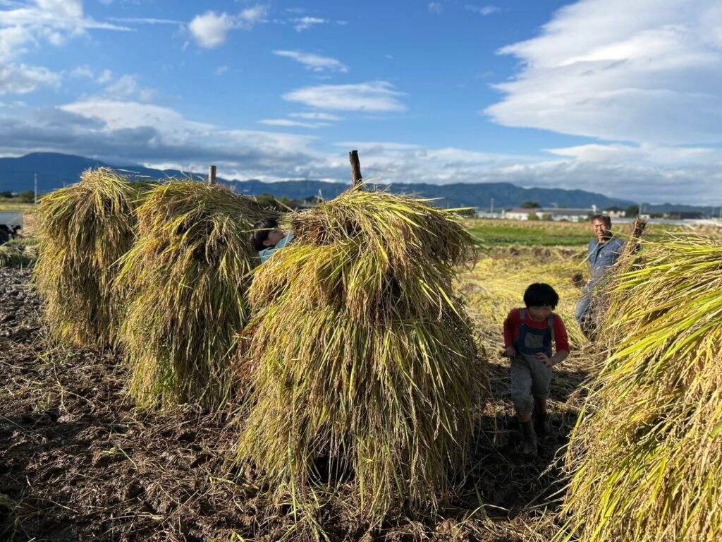 2025年の里山体験ワークショップの様子