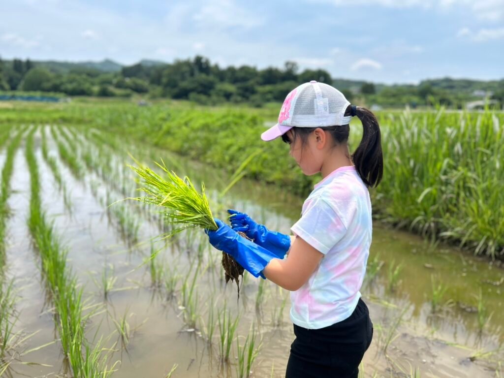 2025年の里山体験ワークショップの様子